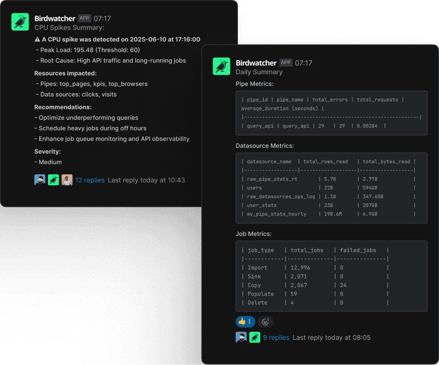 Birdwatcher Slack