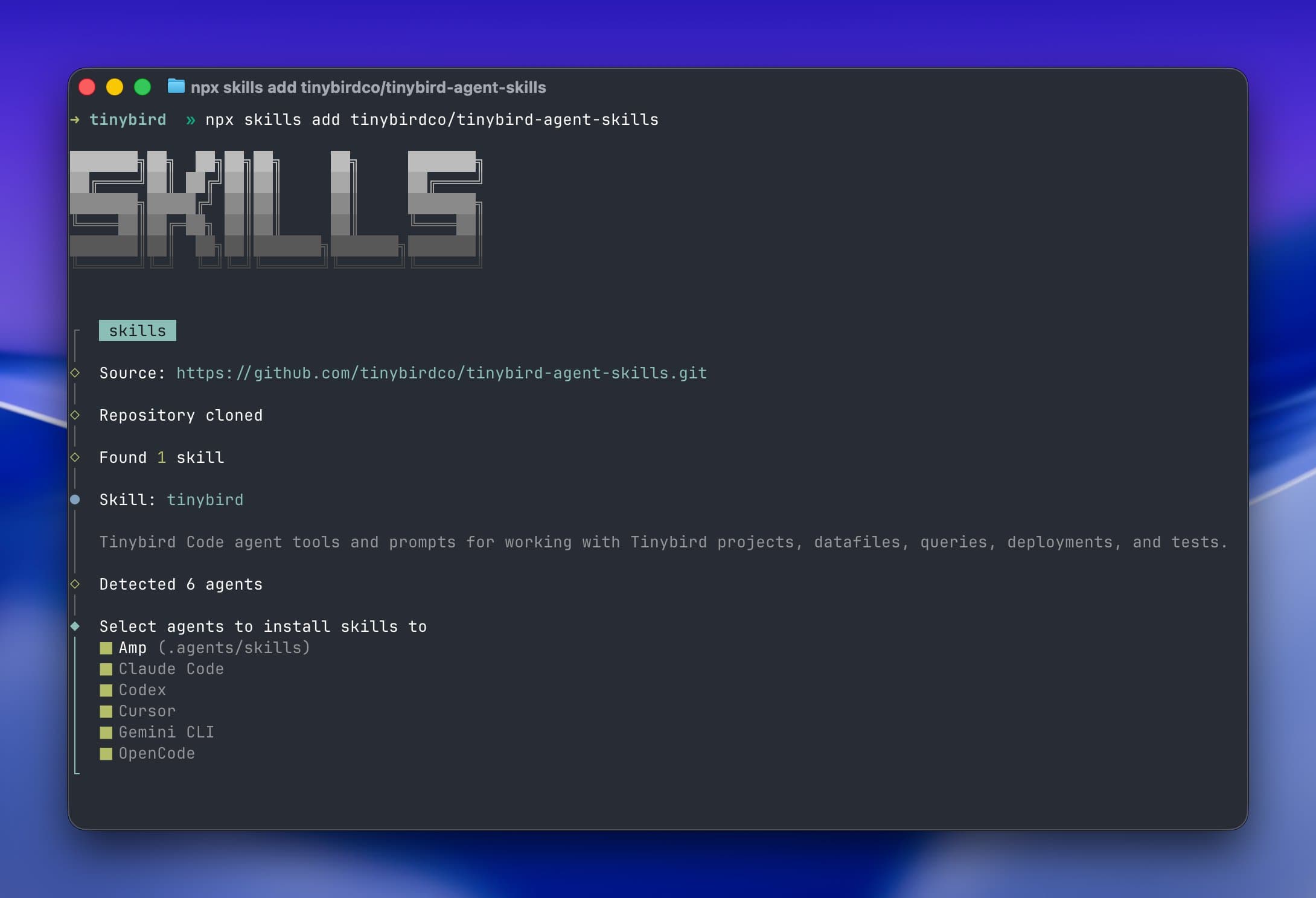 Tinybird Agent Skills installation showing support for Amp, Claude Code, Codex, Cursor, Gemini CLI, and OpenCode